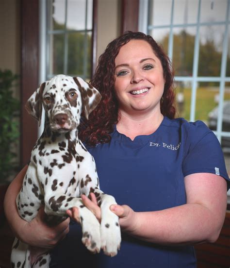 Animal clinic northview in north ridgeville - Read what people in North Ridgeville are saying about their experience with Animal Clinic Northview at 36400 Center Ridge Rd - hours, phone number, …